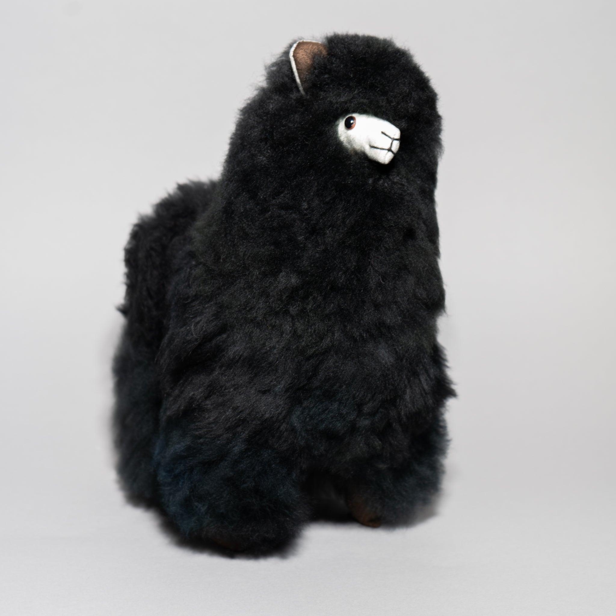 ALPACA STUFFED ANIMAL - 12" HUACAYA ALPACA FUR - Warmpaka